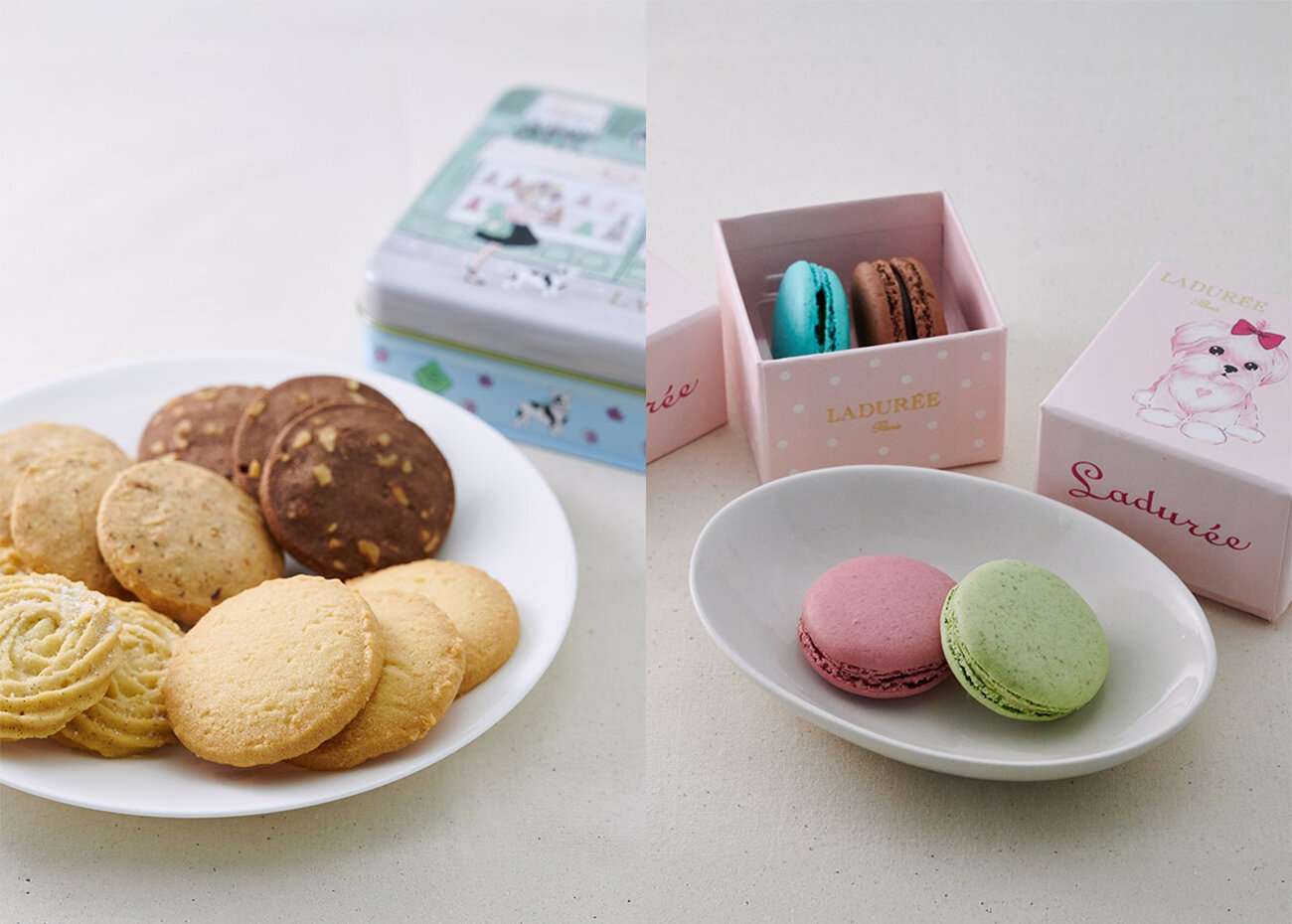 渋谷 東急フードショー限定品も！世界中の人々を魅了する〈ラデュレ〉