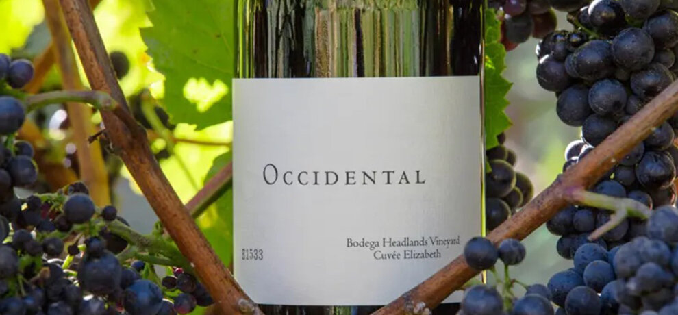 オクシデンタル