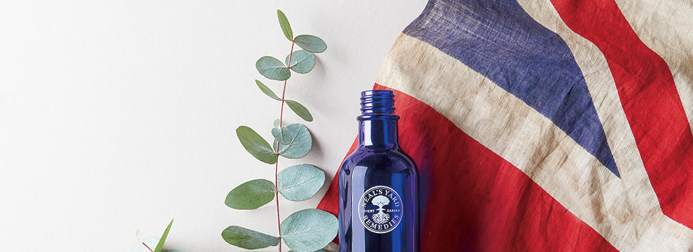 カテゴリー画像