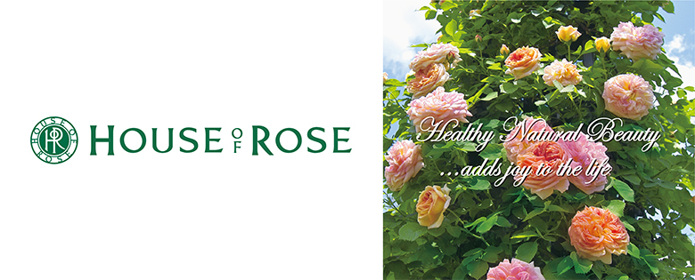 カテゴリー画像