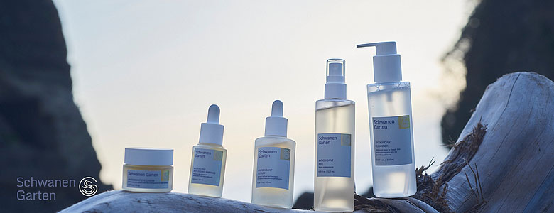 カテゴリー画像