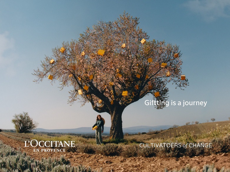 カテゴリー画像