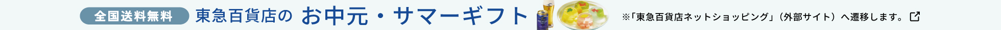 ネットショッピング中元
