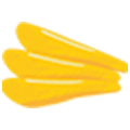 数の子