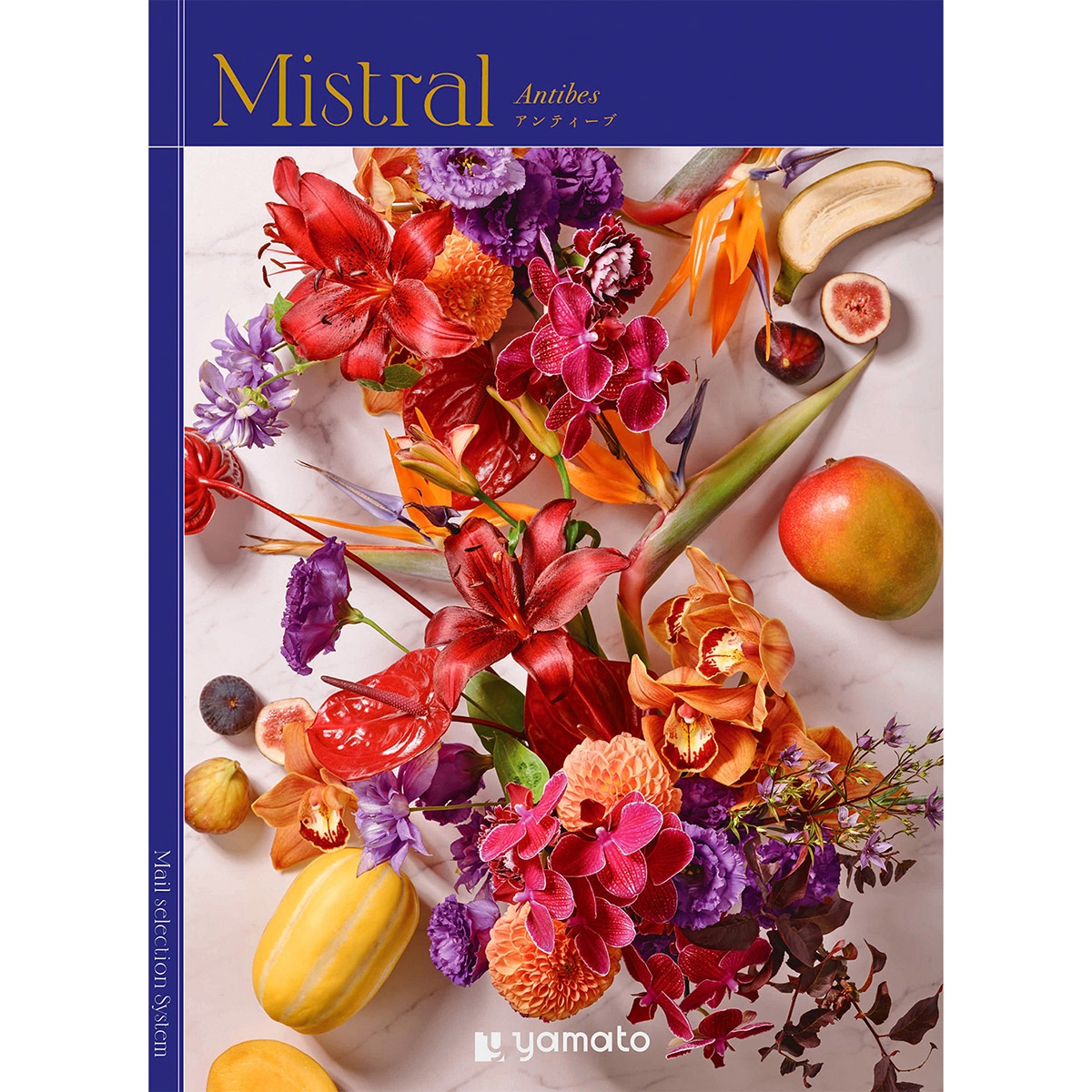 ≪Mistral（ミストラル）≫Antibes（アンティーブ）［カタログギフト