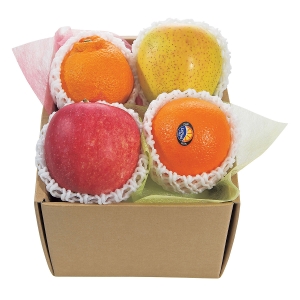 おまかせ旬のフルーツBOX　A