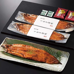 茶処東陽園》日本銘茶紀行 ティーバッグ詰合せ【全国うまいもの巡り