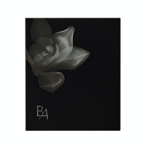 B.A オアシスライト パウダー ケース