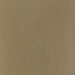 14 SHELTERING SYMPHONY