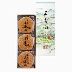 よも山 6入