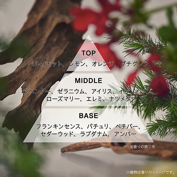 アスレティア athletia オードパルファン LOST IN THE CROWD | シブヤ