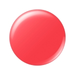 04 美しく咲き誇るフェアリーピンク