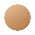 IV303