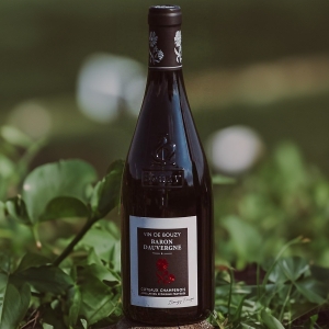 ≪バロン ドーベルニュ≫ブシィ ルージュ 2020