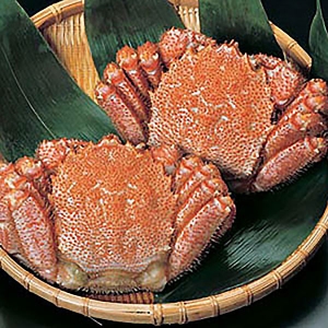 毛がに Mサイズ2尾