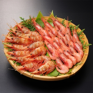 ≪蝦名漁業部≫漁師が選んだ甘えびとぼたんえび