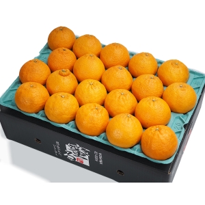 愛媛県産蜜るデコポン