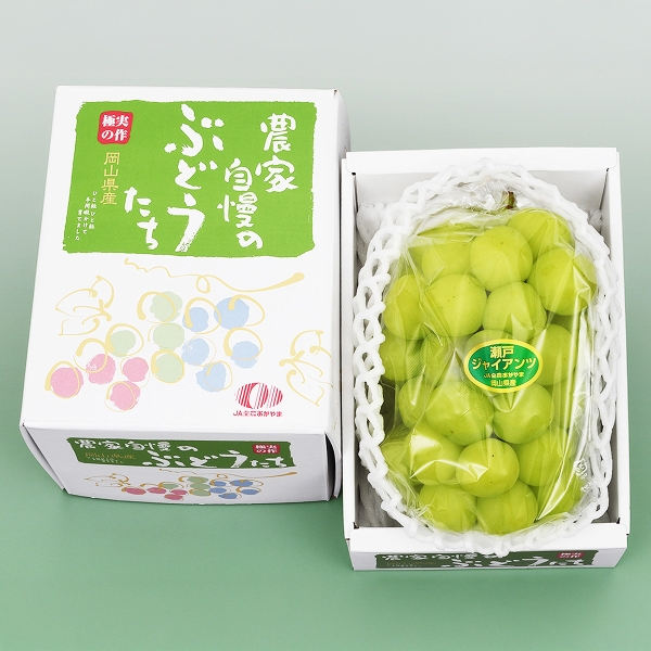 林フルーツ ［敬老の日］ 瀬戸ジャイアンツ | 東急百貨店オンライン