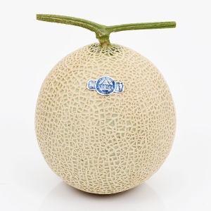 アローママスクメロン