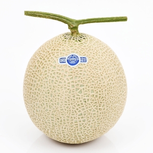 クラウンマスクメロン