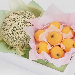 長崎びわ・メロン詰め合わせ