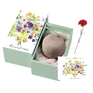 母の日マスクメロン（カーネーション造花付）