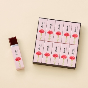 母の日パッケージ小形羊羹10本入