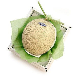 アローママスクメロン