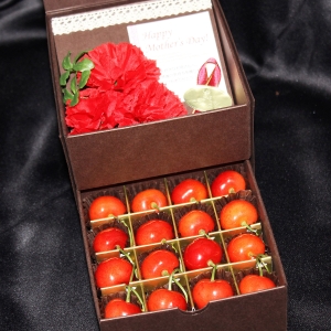 山形県産さくらんぼ母の日ギフト2段BOX