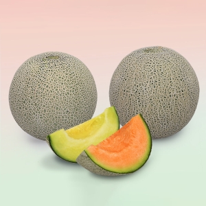 赤肉メロン・青肉メロン詰め合わせ