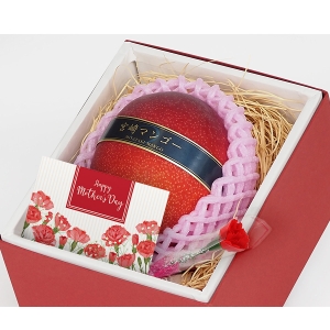 宮崎県産完熟マンゴー1玉