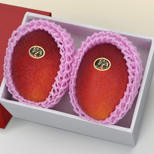 宮崎県産完熟マンゴー太陽のタマゴ2玉