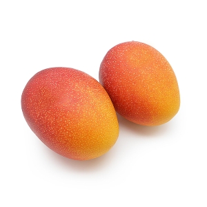 宮崎県産完熟マンゴー