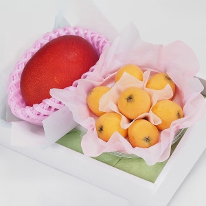 完熟マンゴー・長崎びわ詰め合わせ