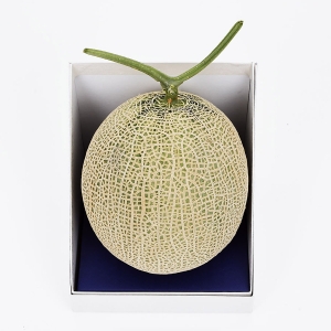 アールスメロン