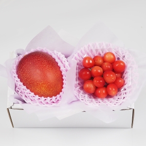 さくらんぼ・宮崎完熟マンゴー詰め合わせ