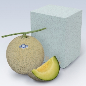 静岡県産アローママスクメロン 1玉